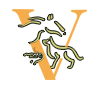 victorlogo.png